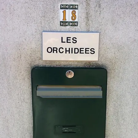 Les Orchidees Apartment Carcassone Exterior photo