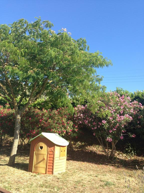 Homestay Les Orchidees Carcassonne