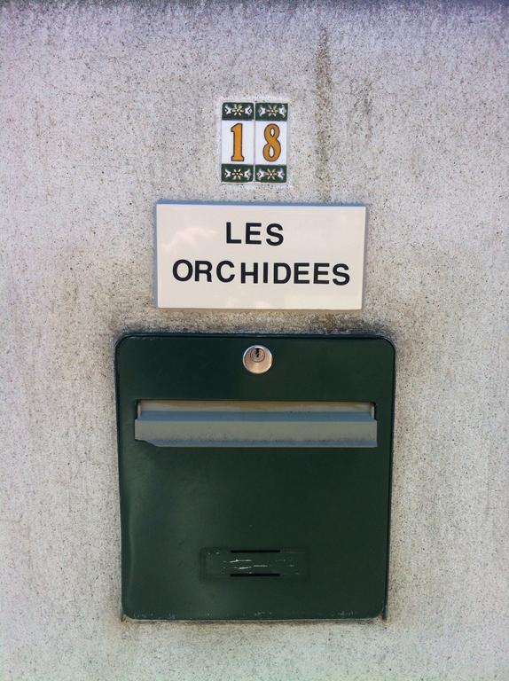 Les Orchidees *